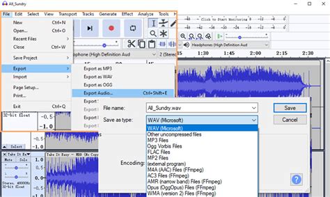 How to Slow Down Audio in Audacity: A Symphony of Time and Sound